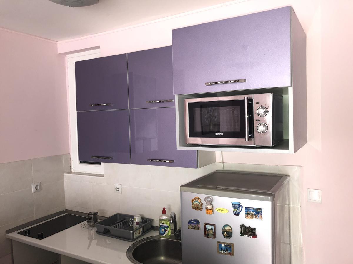 Apartman Ivana Novi Sad Exterior foto